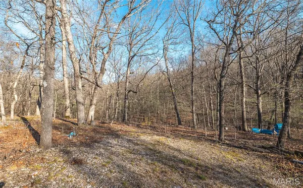 $99,000 | 83 Minx Vly Drive, Roach, MO 65787
