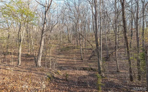 $99,000 | 83 Minx Vly Drive, Roach, MO 65787