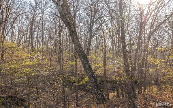 $99,000 | 83 Minx Vly Drive, Roach, MO 65787