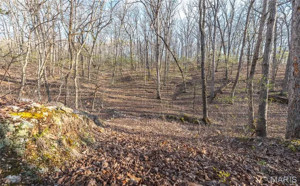 $99,000 | 83 Minx Vly Drive, Roach, MO 65787