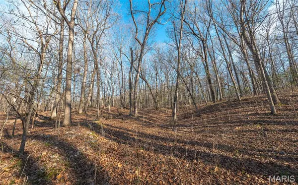 $99,000 | 83 Minx Vly Drive, Roach, MO 65787