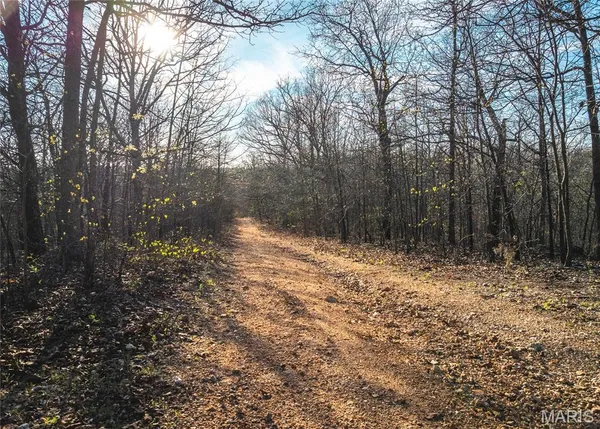 $99,000 | 83 Minx Vly Drive, Roach, MO 65787