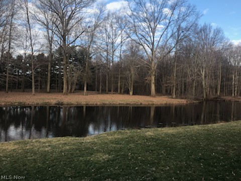 8245 Peck Road Ravenna, OH 44266 - Photo 22 of 23 Gallery Image 22