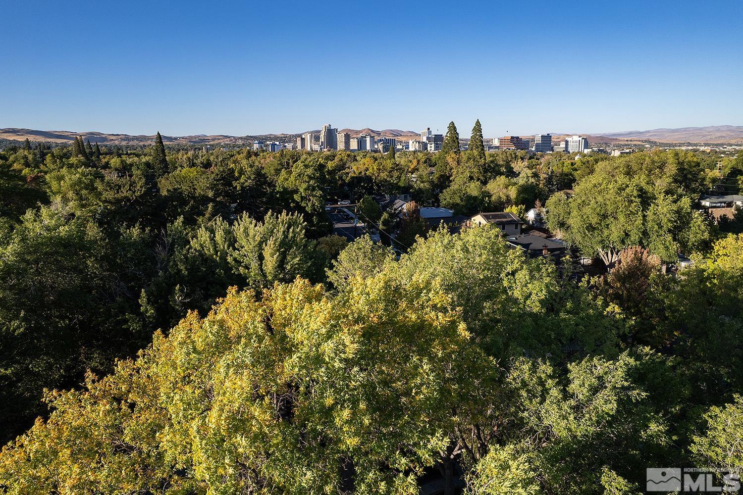 401 Brown Street Reno, NV 89509 - Photo 38 of 40 a view of a bunch of trees and bushes