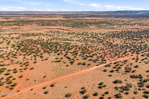 a view of a yard with plants