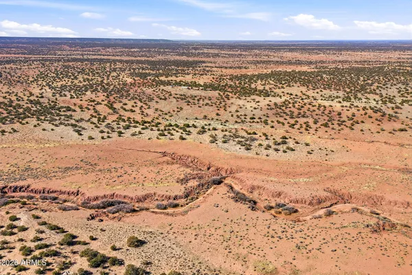 a view of a garden from a yard