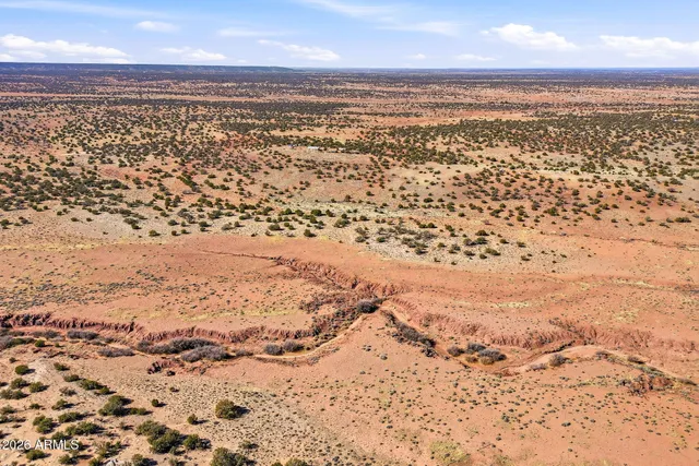 a view of a garden from a yard