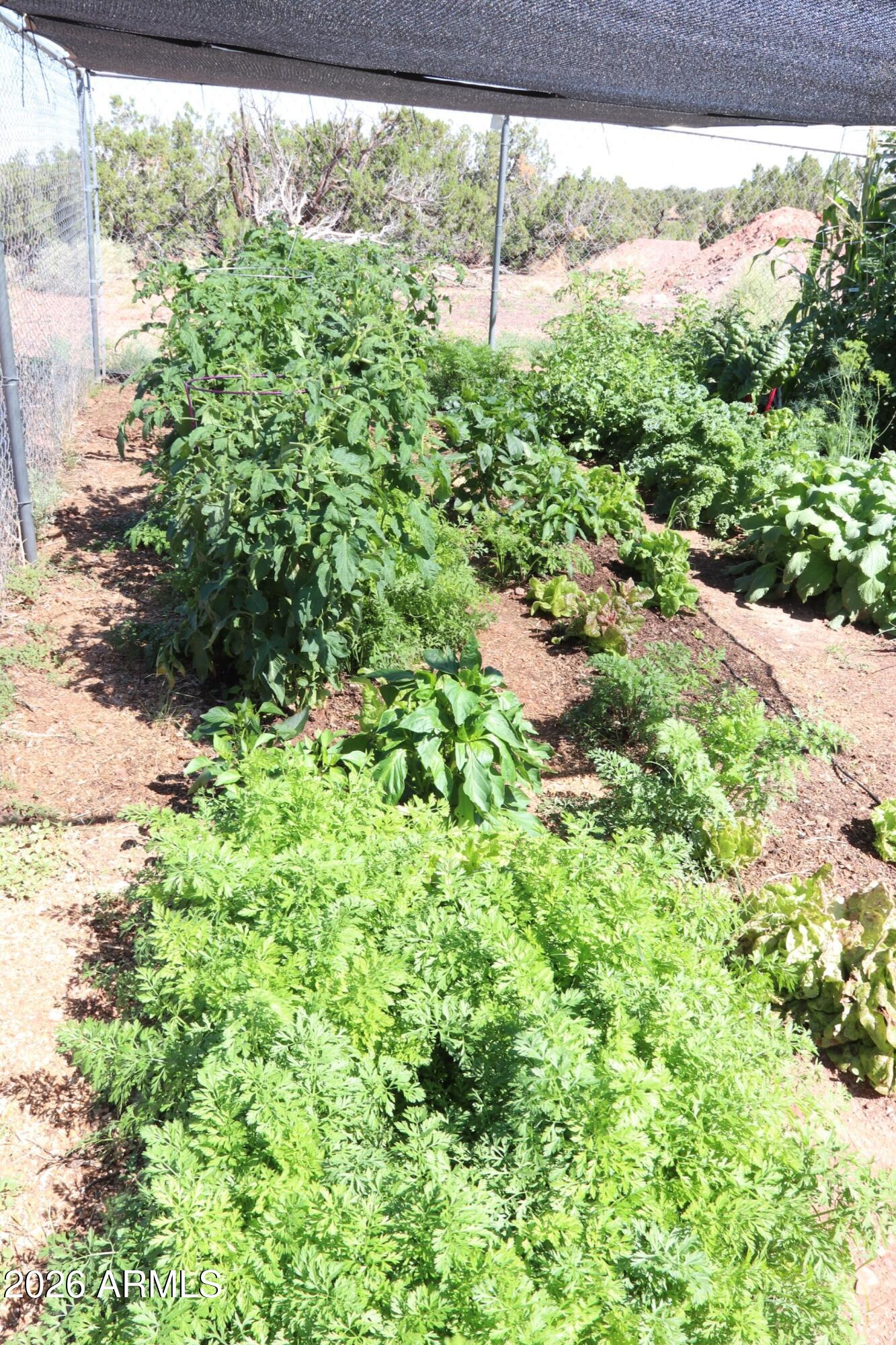 132 N8570 Snowflake, AZ 85937 - Photo 39 of 41 Garden