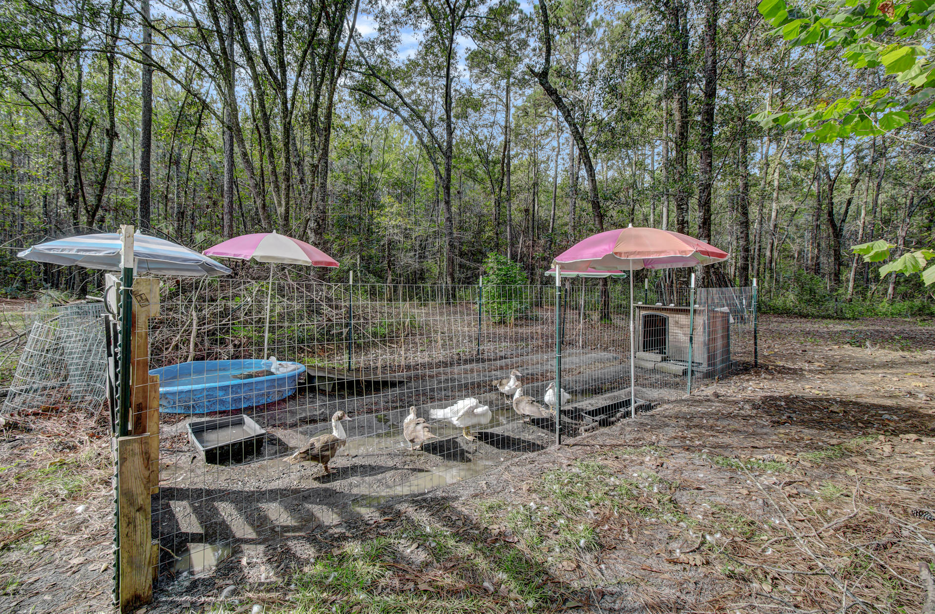 792 Azalea Patch Road Ruffin, SC 29475 - Photo 36 of 43 37
