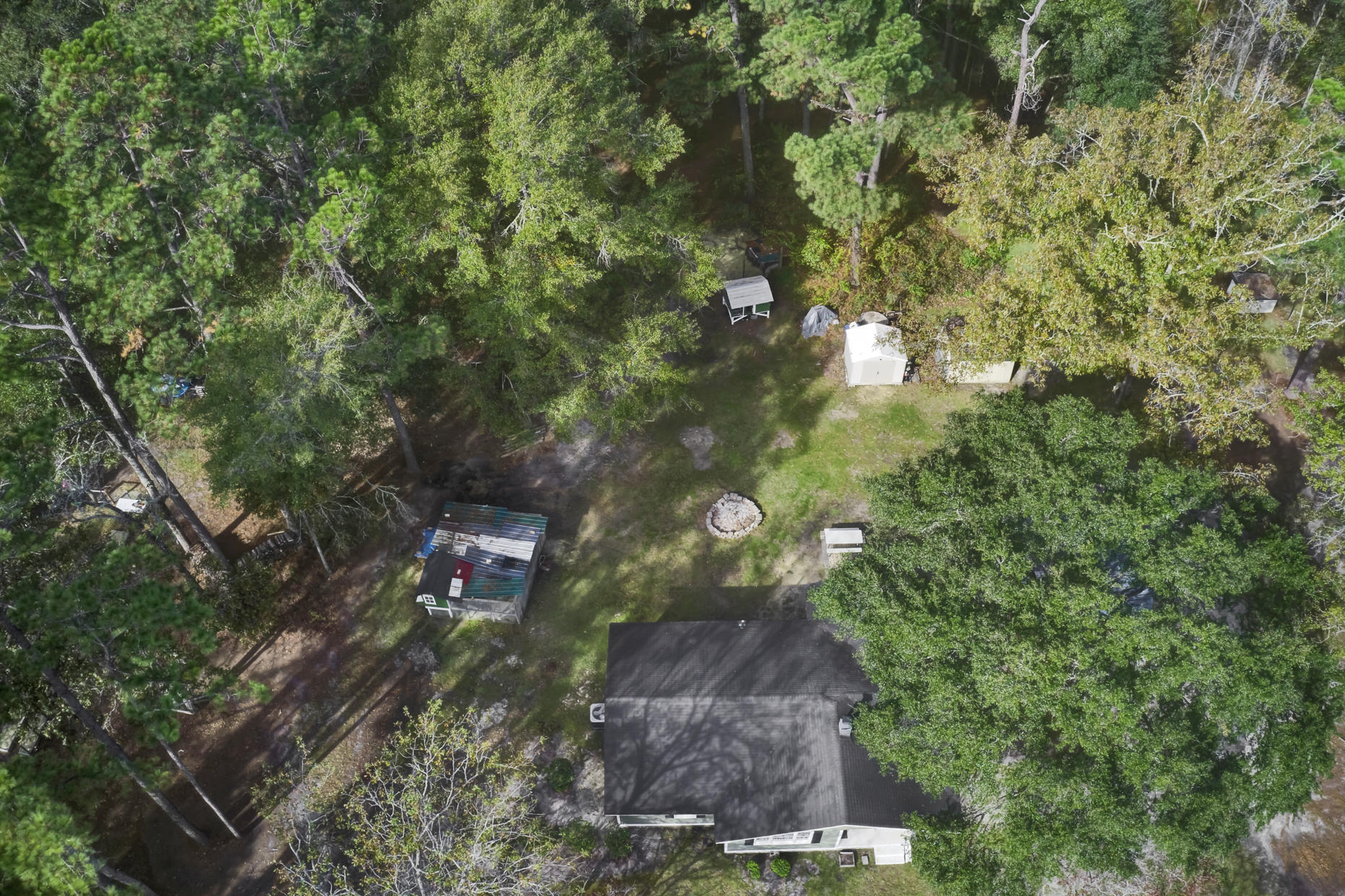 792 Azalea Patch Road Ruffin, SC 29475 - Photo 41 of 43 42