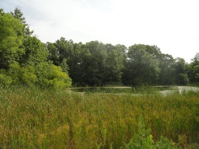 1565 Pea Ridge Road Spencer, IN 47460 - Photo 13 of 16