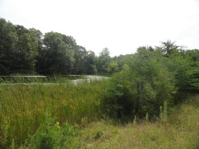 1565 Pea Ridge Road Spencer, IN 47460 - Photo 14 of 16