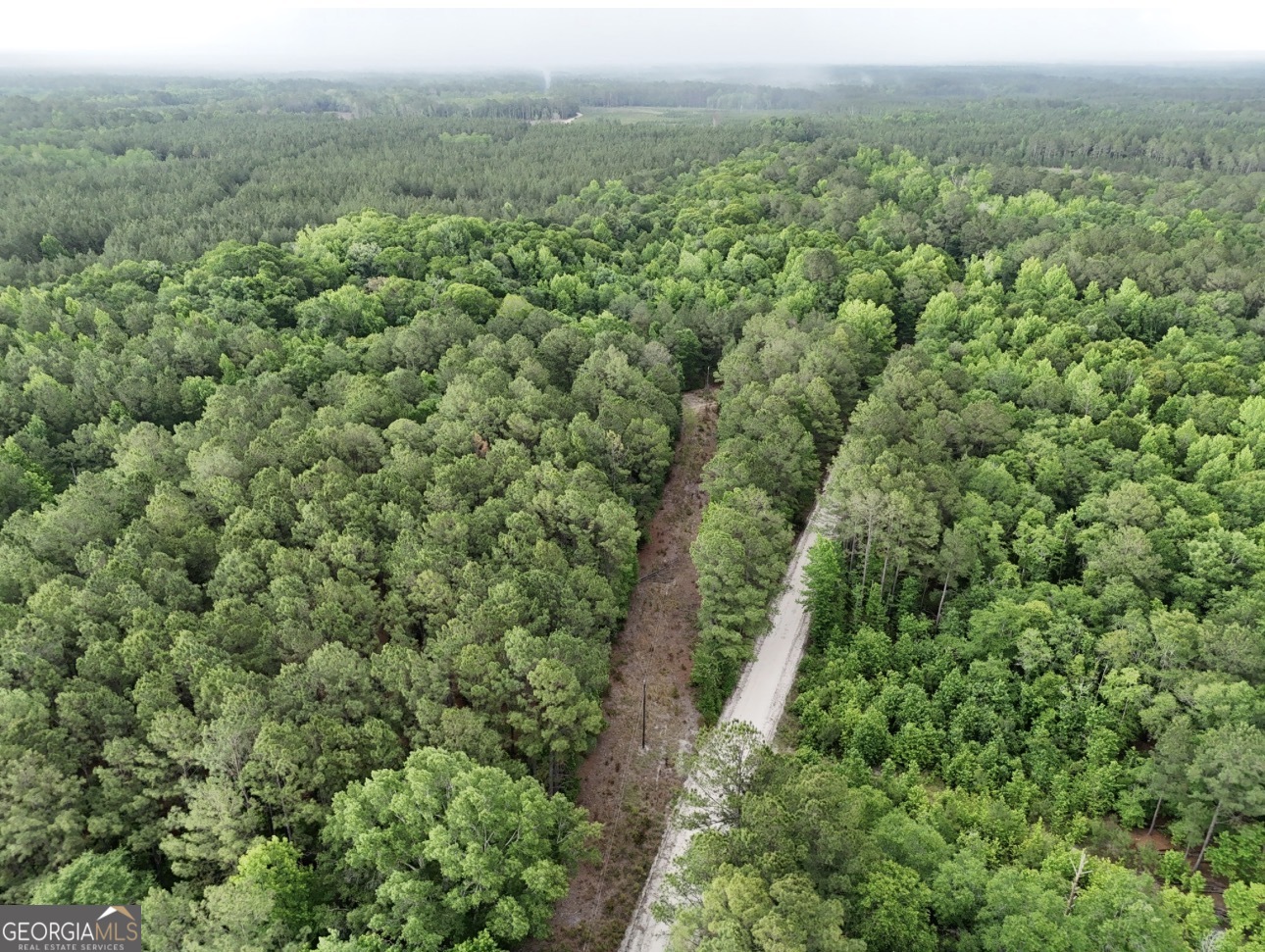 0 Duck Pond Road Sylvania, GA 30467 - Photo 2 of 8 an aerial view of forest