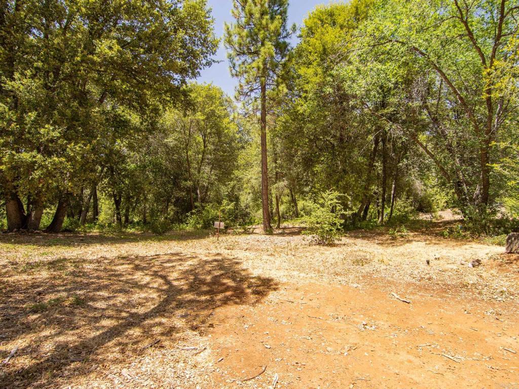 7 West Incense Cedar Road Julian, CA 92036 - Photo 14 of 24 a view of a yard with trees
