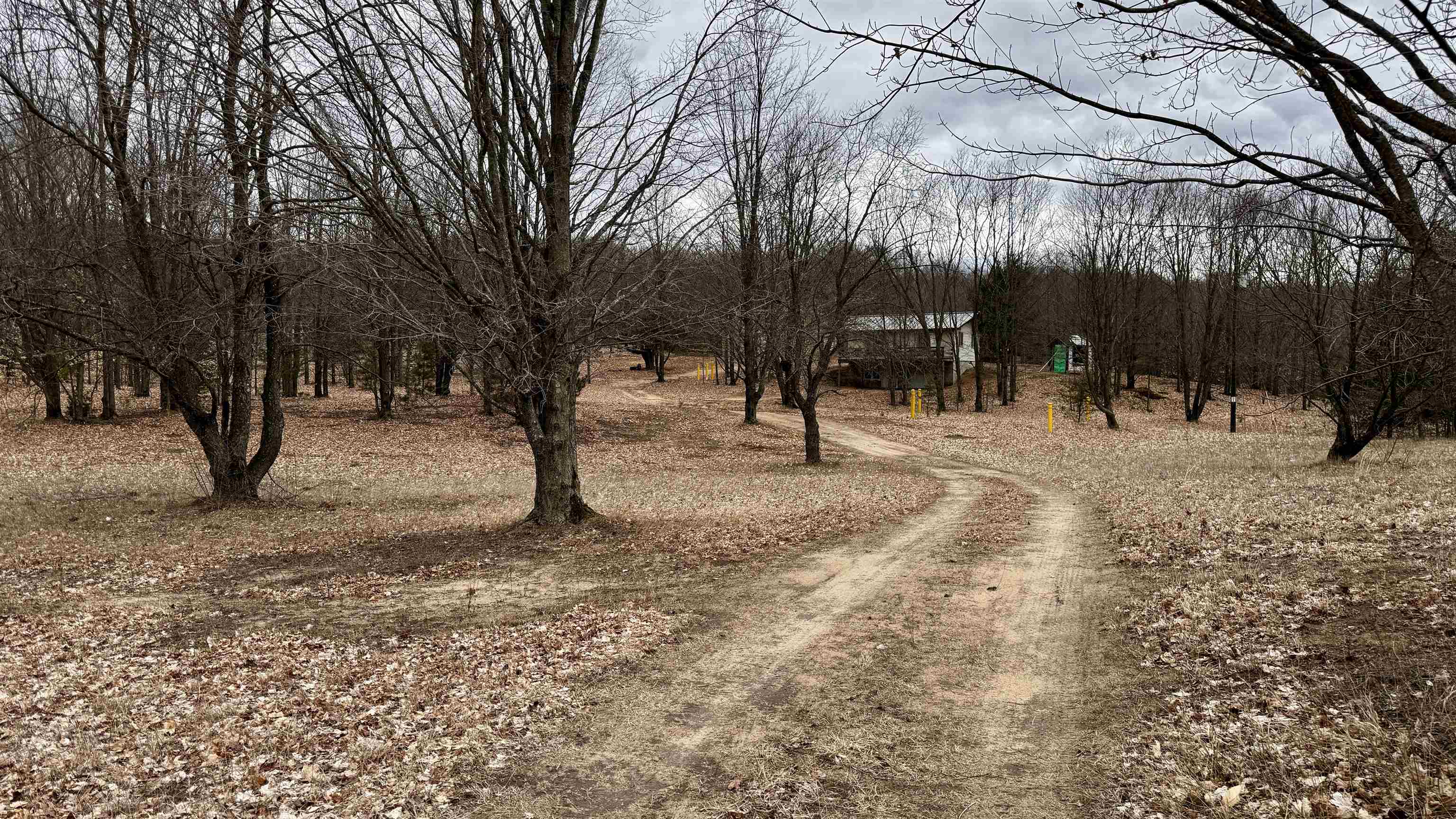 12854 Litzen Road Copemish, MI 49625 - Photo 6 of 32 1920838-054481dd-5e6e-4d62-848c-281c73dc1a83.JPG