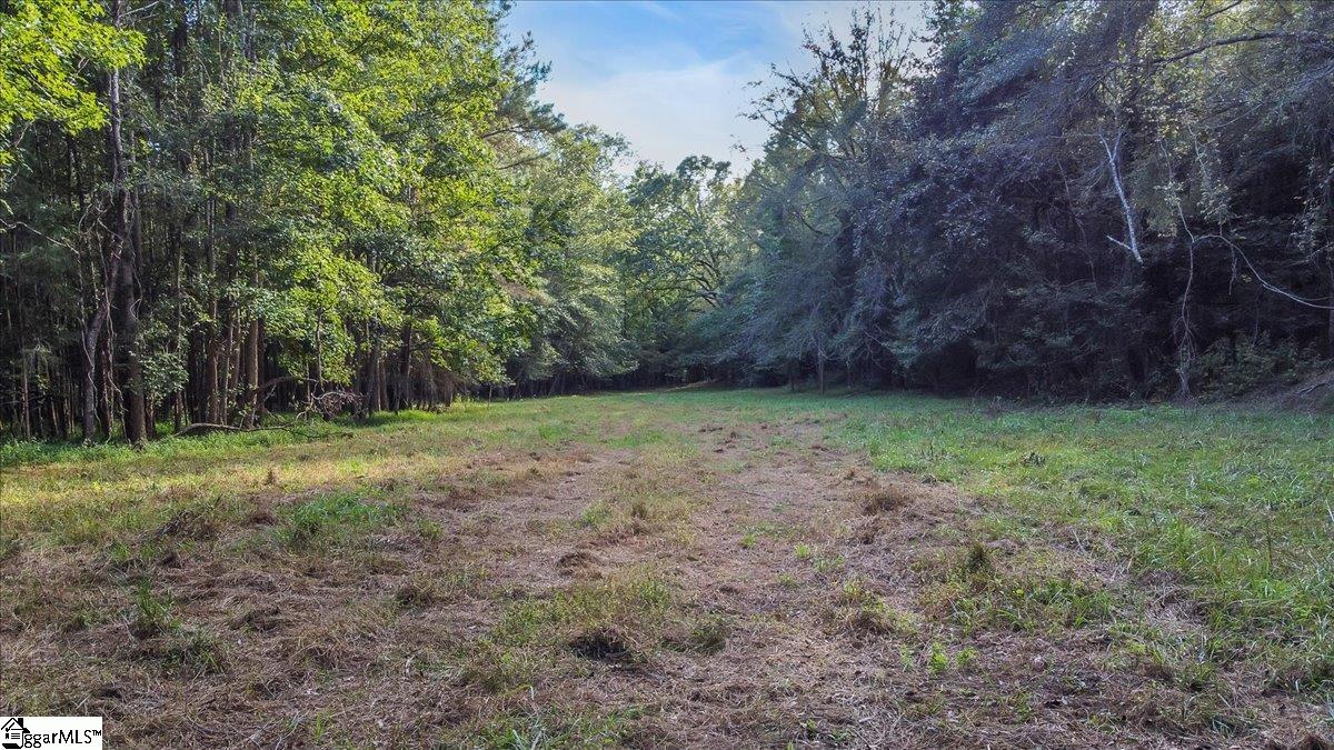 349 Brooks Road Honea Path, SC 29654 - Photo 27 of 36 Gallery Image 27