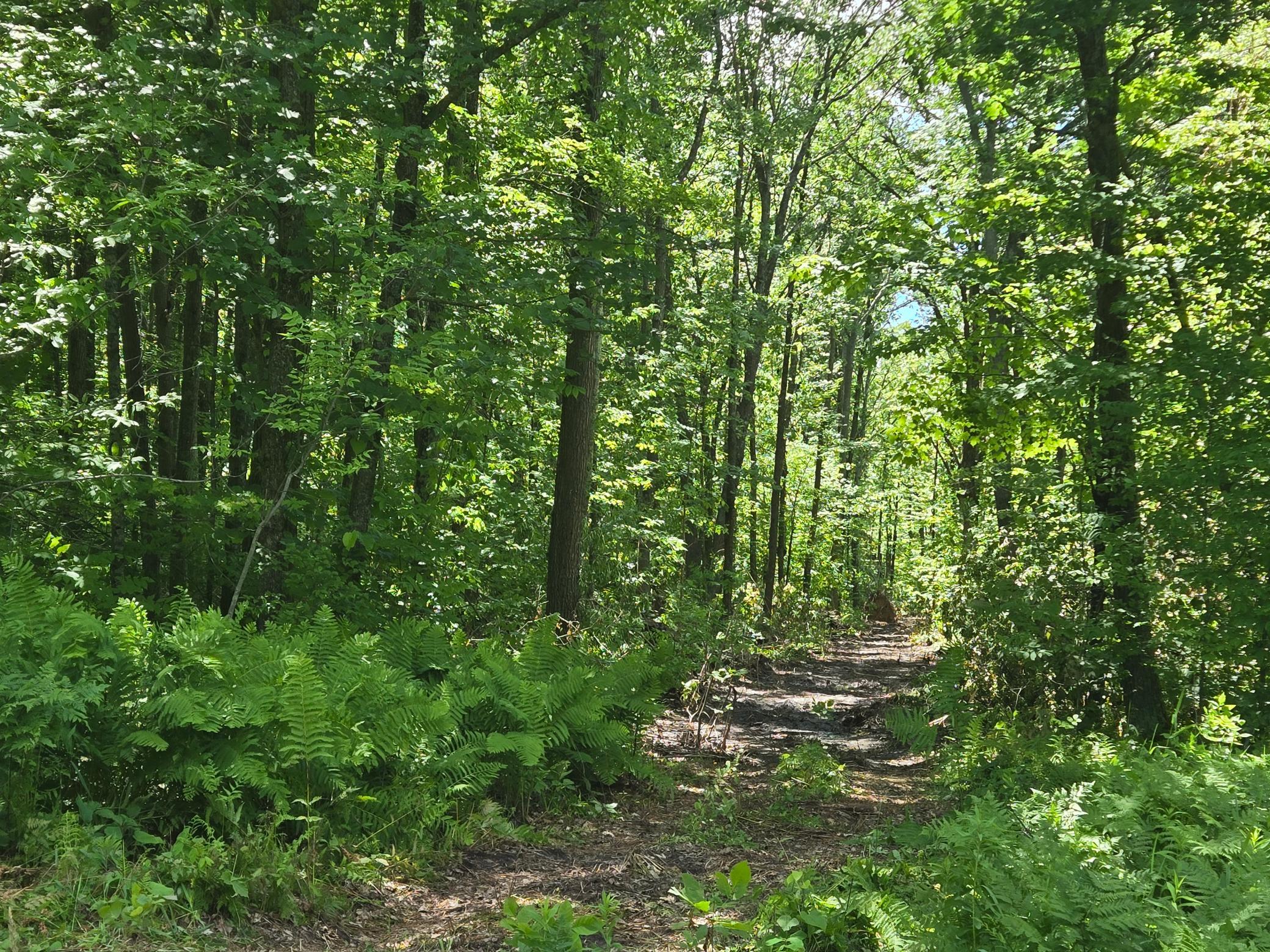 Tbd Marsh Road Milaca, MN 56353 - Photo 14 of 20
