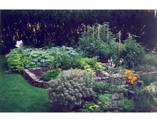 15 Mignon Road Newton, MA 02465 - Photo 13 of 14