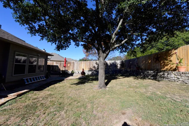 a view of a backyard with a large tree and wooden fence