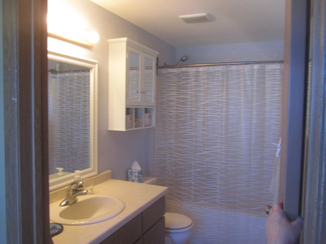 25696 Raska Lane Lake Villa, IL 60046 - Photo 18 of 27 a bathroom with a sink a toilet a mirror and shower curtain