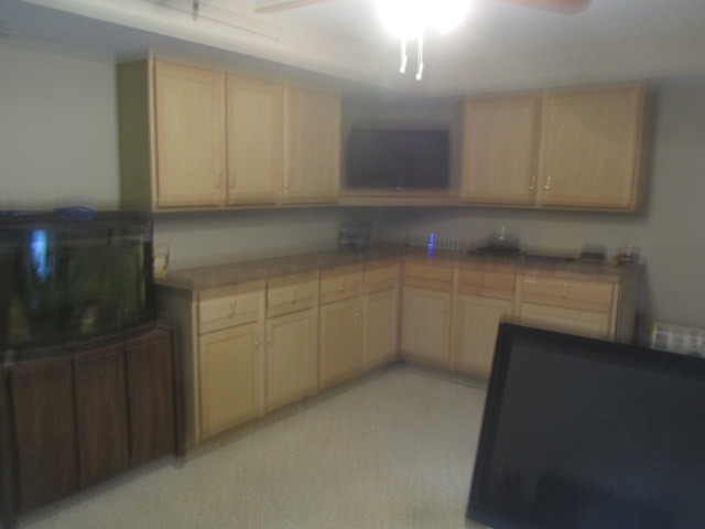 25696 Raska Lane Lake Villa, IL 60046 - Photo 20 of 27 a view of cabinets