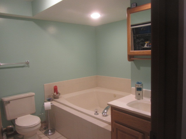 25696 Raska Lane Lake Villa, IL 60046 - Photo 21 of 27 a bathroom with a sink and a toilet