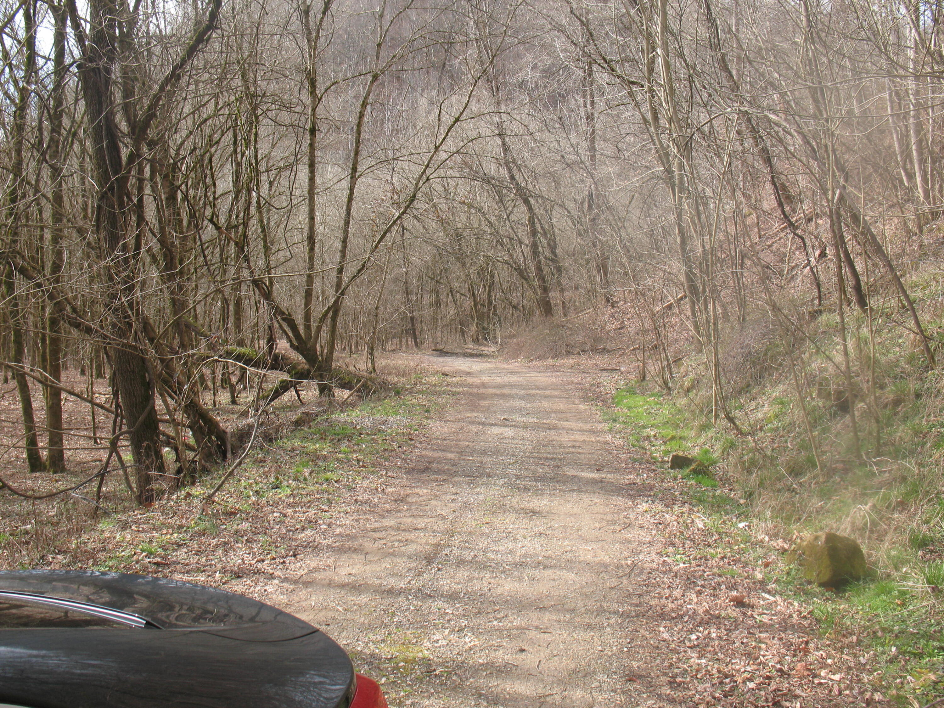284 Huff Road Hyden, KY 41749 - Photo 10 of 20 IMG_4551