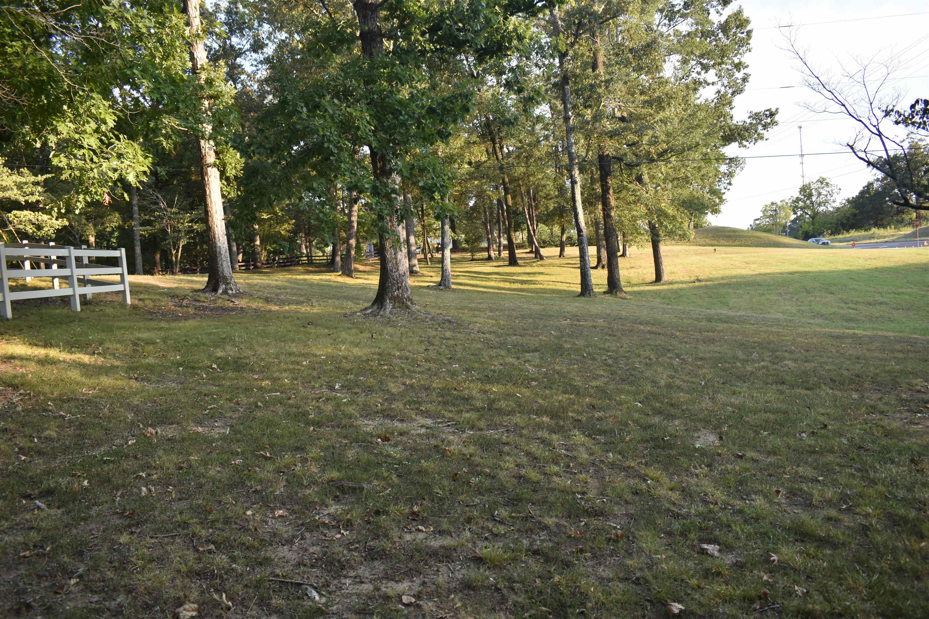 82 Ester Lane Ramer, TN 38367 - Photo 35 of 40 Expansive grounds featuring mature trees and a white multi-rail fence