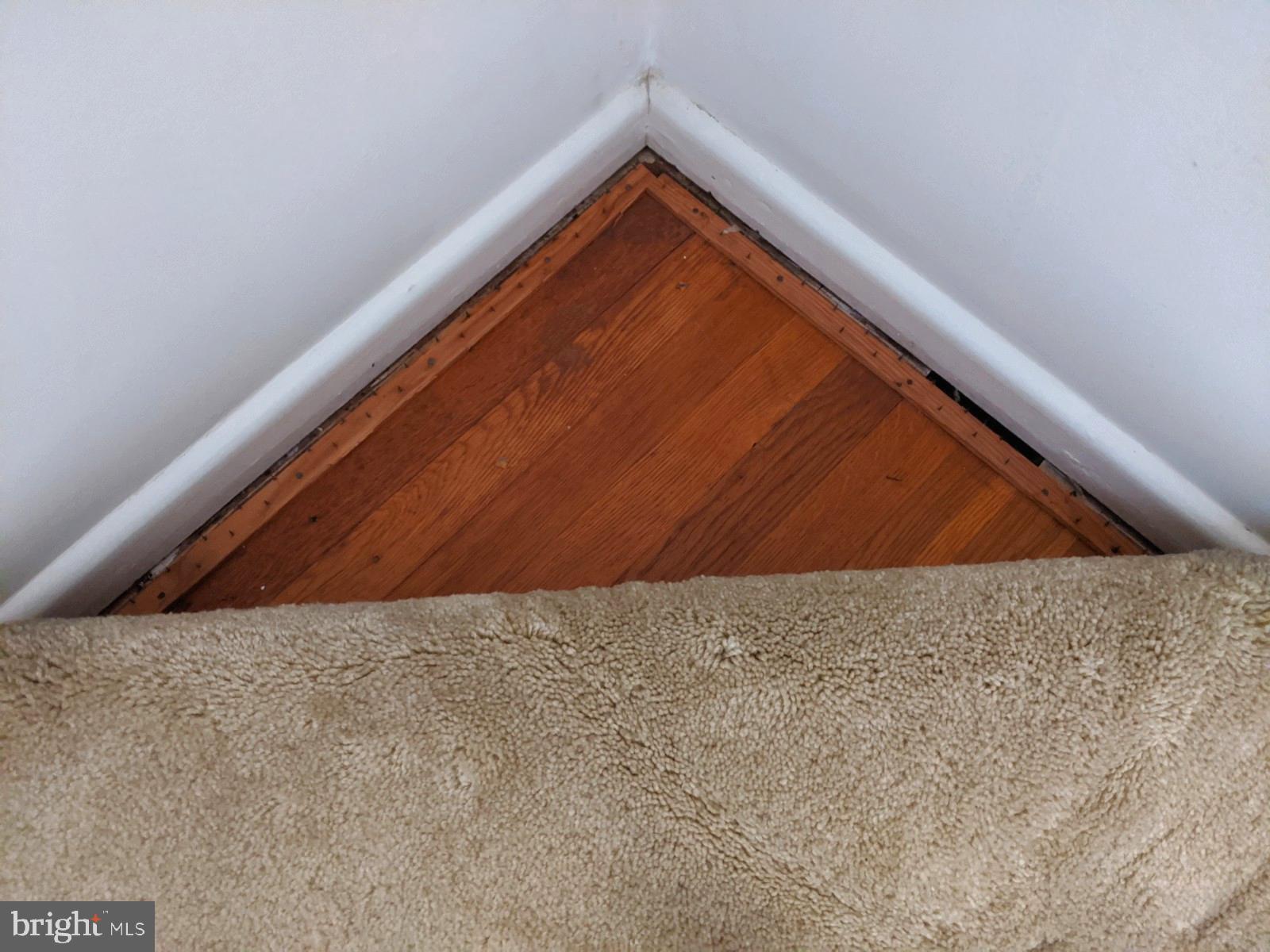 6711 Jerome Street Springfield, VA 22150 - Photo 13 of 24 BEAUTIFUL hardwood floors under carpet