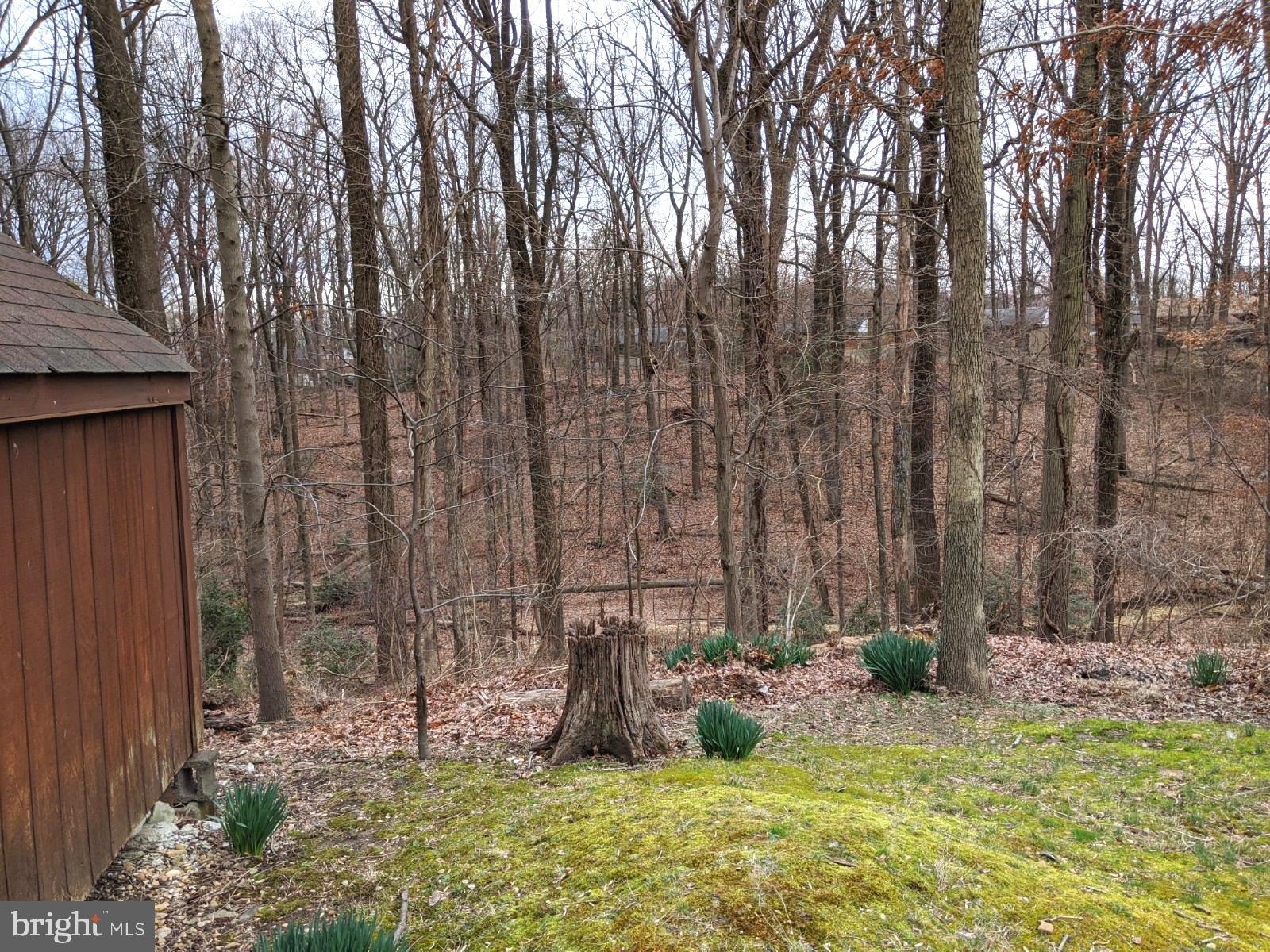 6711 Jerome Street Springfield, VA 22150 - Photo 22 of 24 Backs to trees