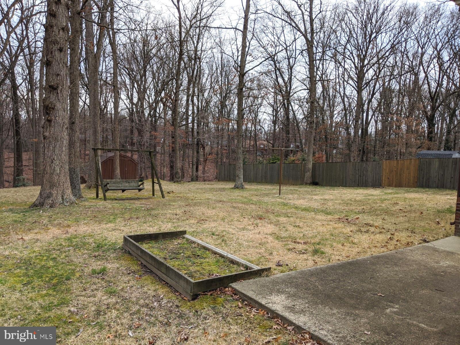 6711 Jerome Street Springfield, VA 22150 - Photo 23 of 24 Trees, Trees, Trees!