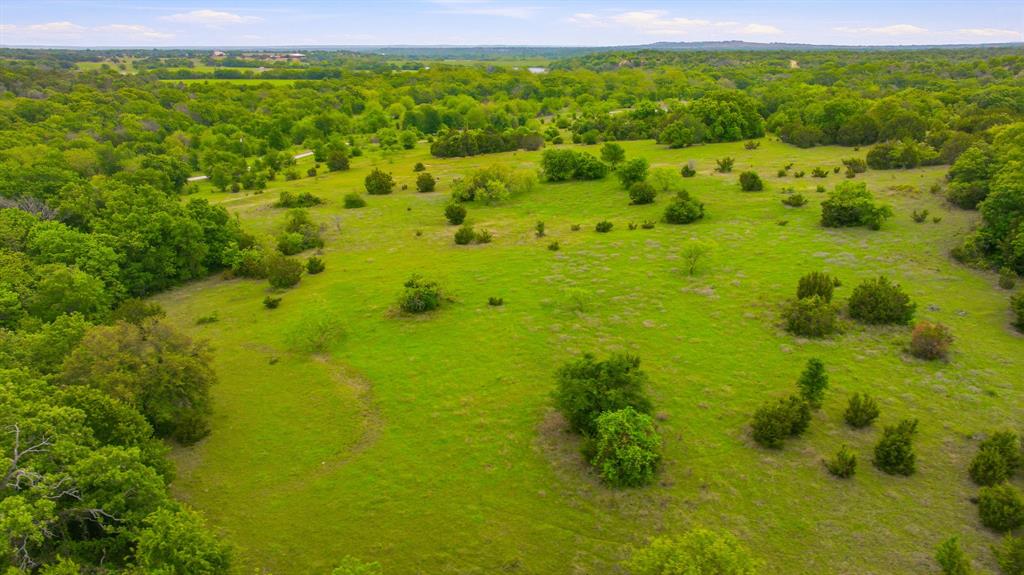 4823 Airport Road Aledo, TX 76008 - Photo 24 of 39 a view of a big yard with lots of trees