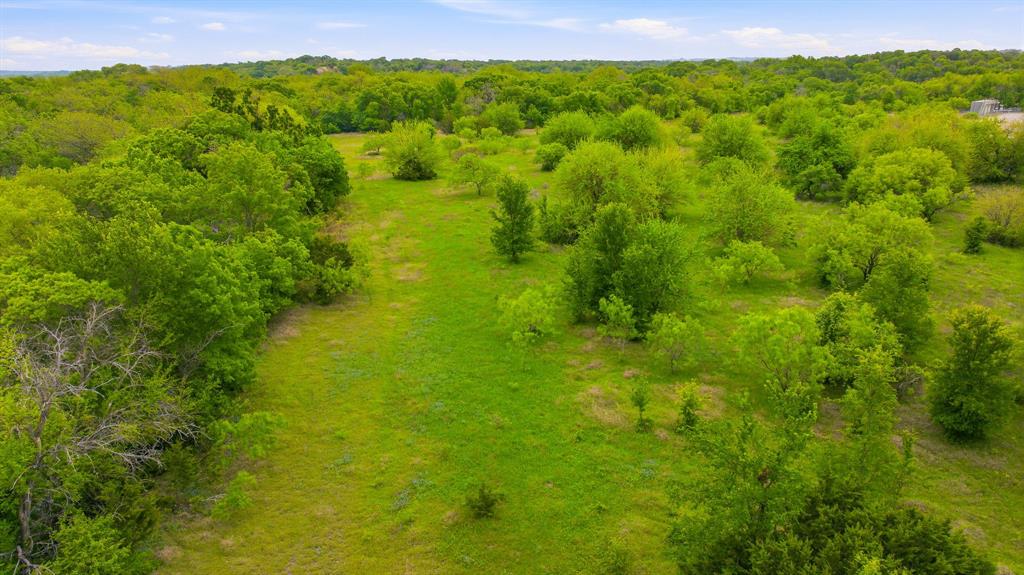 4823 Airport Road Aledo, TX 76008 - Photo 35 of 39 a view of a lush green forest