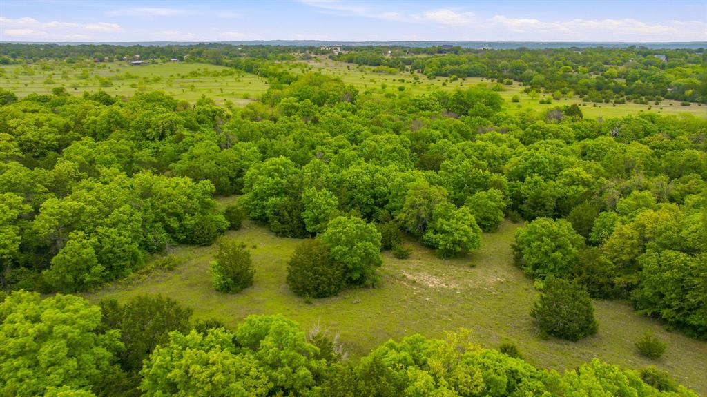4823 Airport Road Aledo, TX 76008 - Photo 36 of 39 a view of a garden