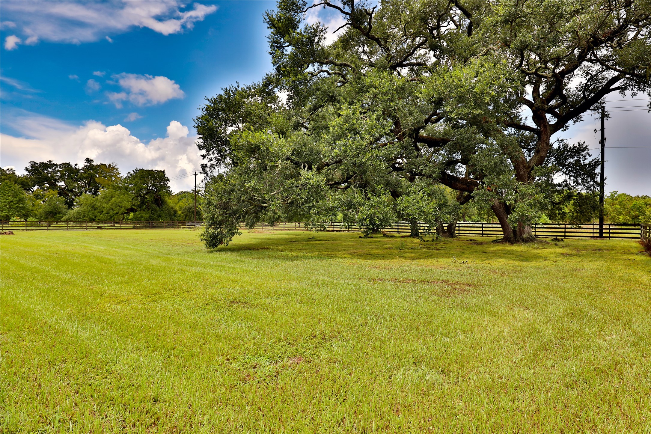 814 Comanche Trail Drive Rosharon, TX 77583 - Photo 42 of 50 a view of yard with swimming pool and green space