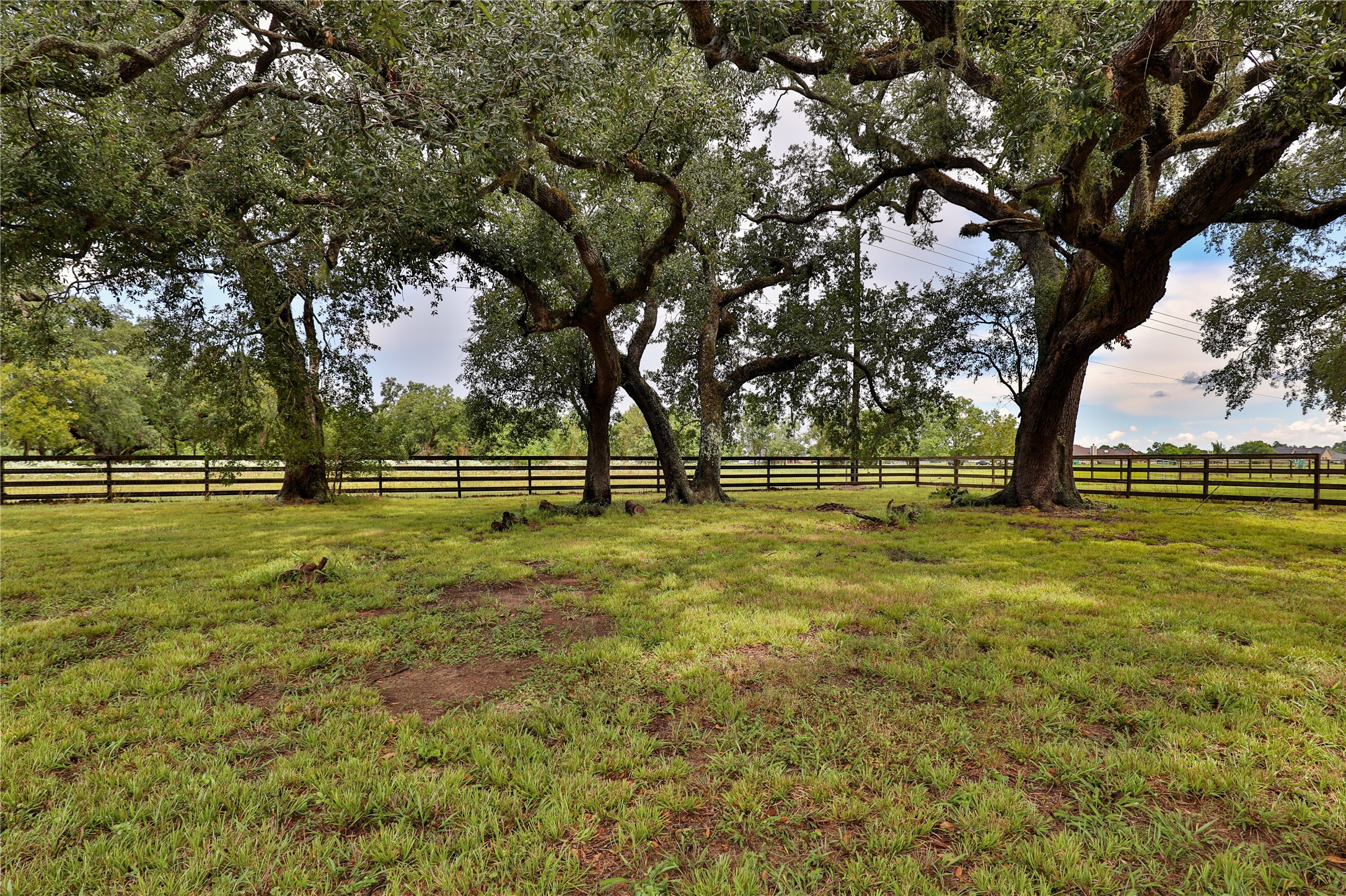 814 Comanche Trail Drive Rosharon, TX 77583 - Photo 43 of 50 a view of park with trees