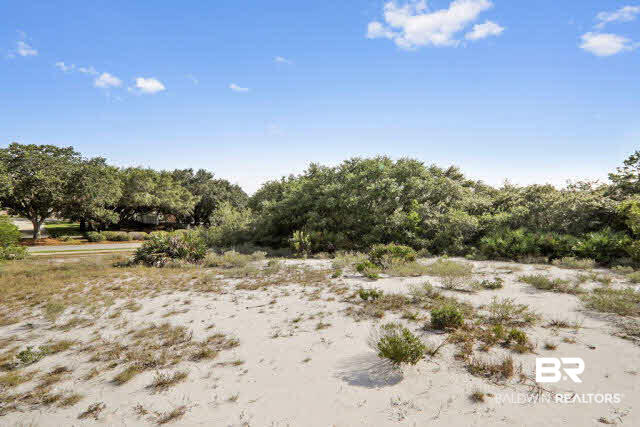 2 Ono Boulevard Orange Beach, AL 36561 - Photo 6 of 10 Rear of Lot Facing Southwest