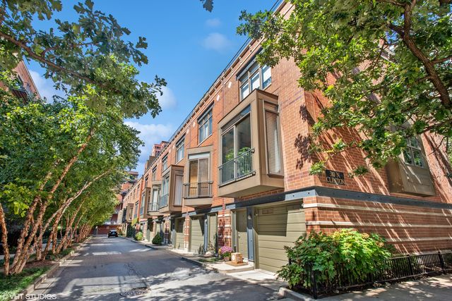 a view of a street with plants and trees