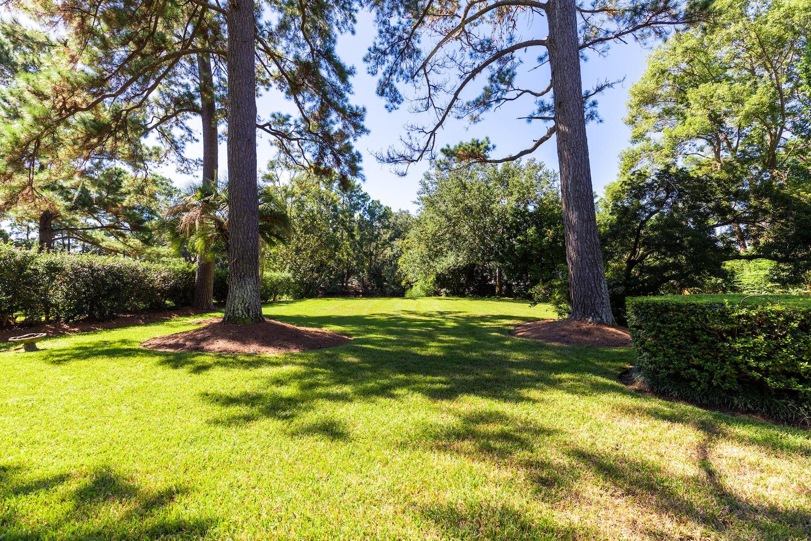 19 Johnson Road Charleston, SC 29407 - Photo 26 of 35 19Johnson-KeenEyeMarketing-40