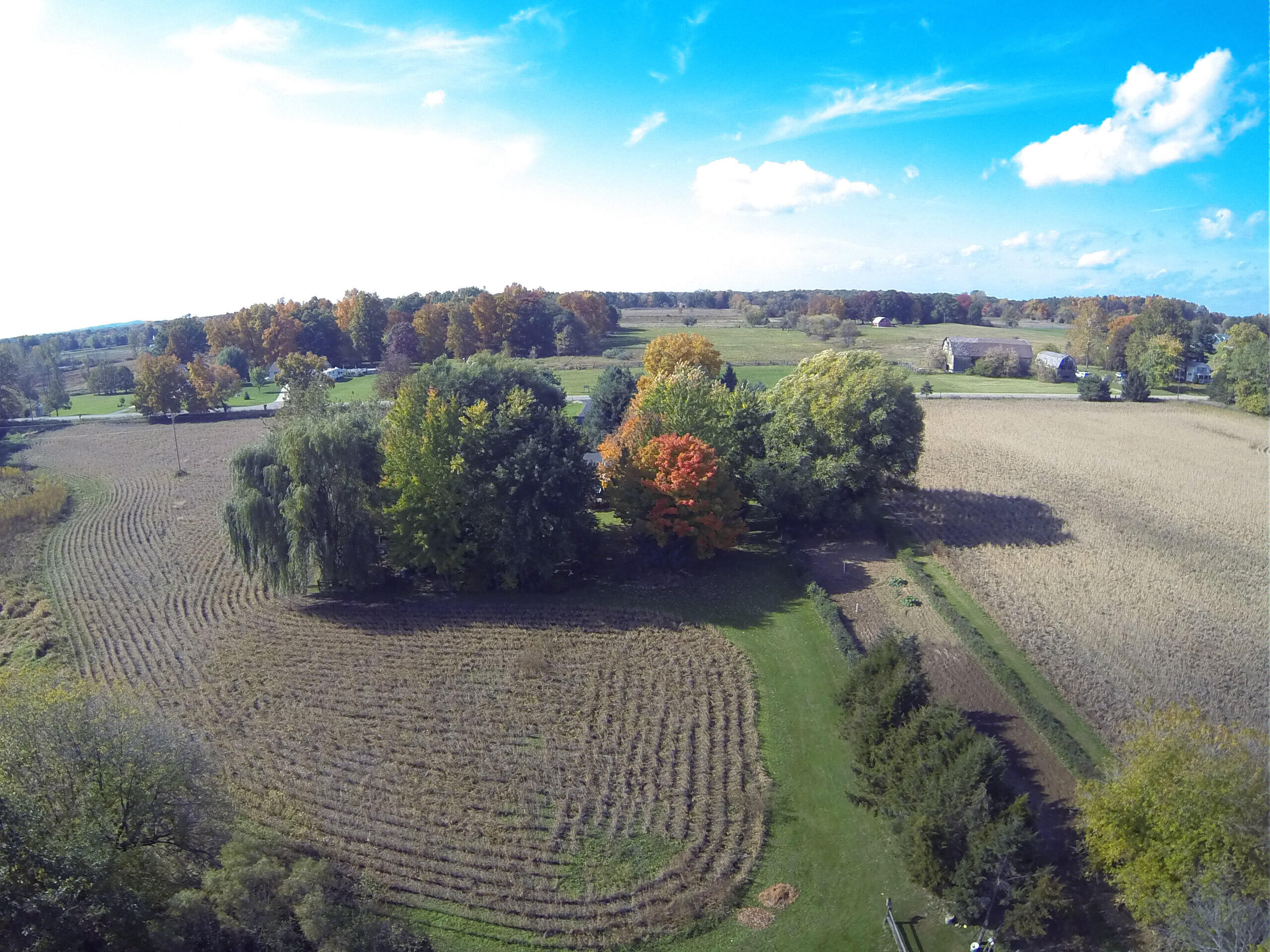 11725 Hardcastle Road Brooklyn, MI 49230 - Photo 61 of 63 Norvell-West-Facing-01