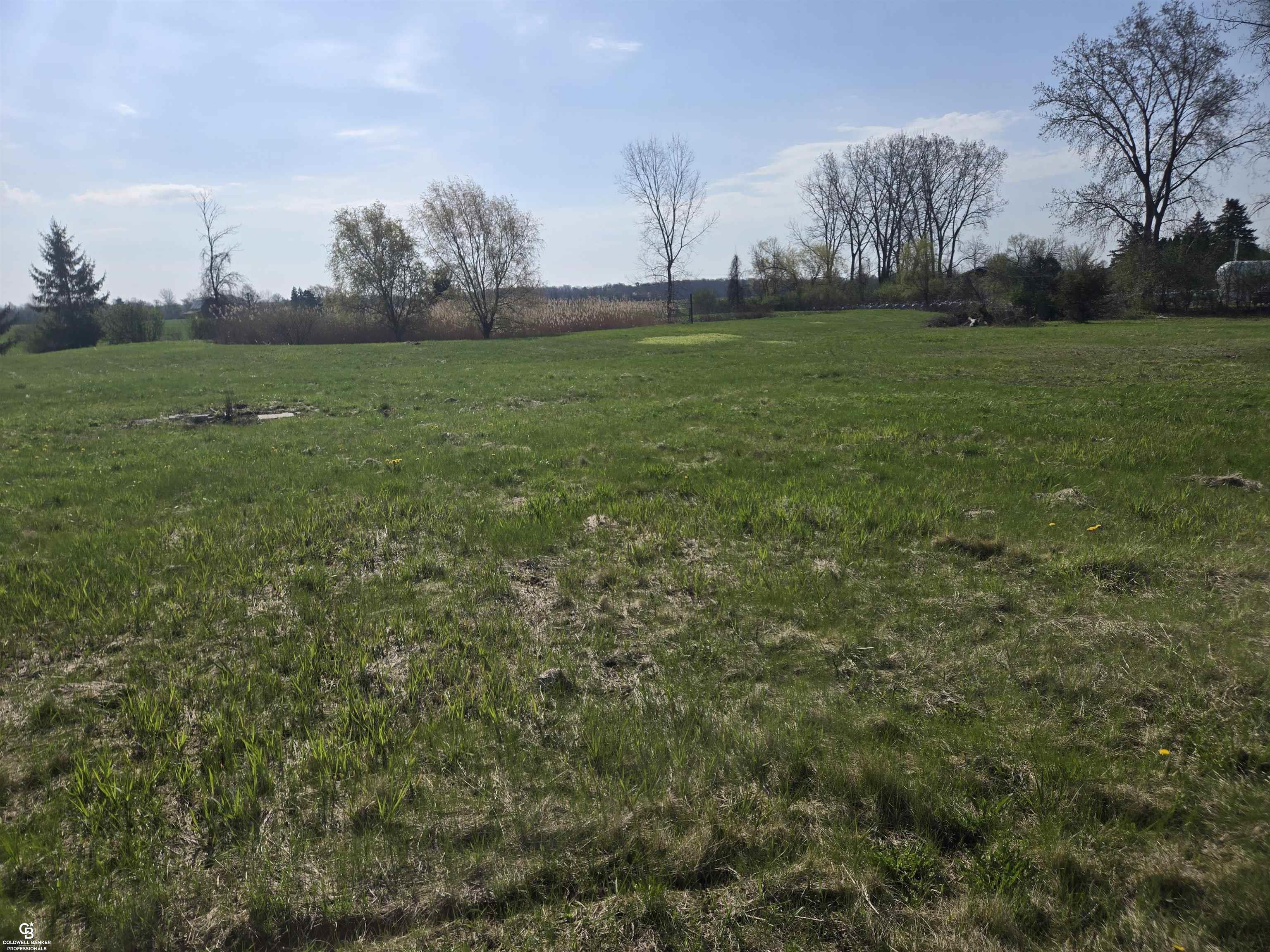 0 Brockway Vl Road Yale, MI 48097 - Photo 4 of 13