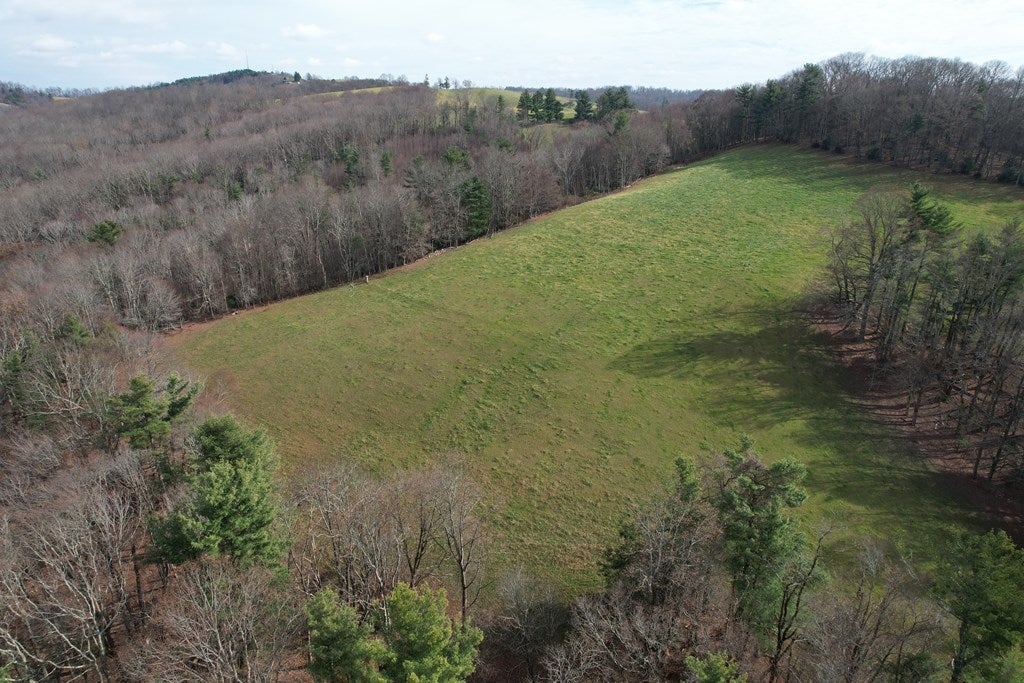 5549 Joy Ranch Road Fancy Gap, VA 24328 - Photo 21 of 38 Gallery Image 21