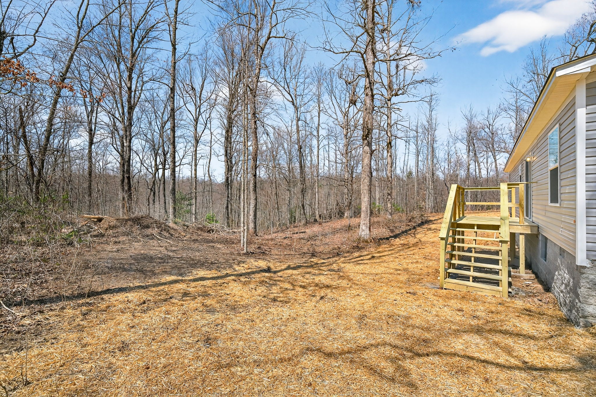 428 Maple Branch Road Sparta, TN 38583 - Photo 4 of 28 a view of a yard with wooden fence