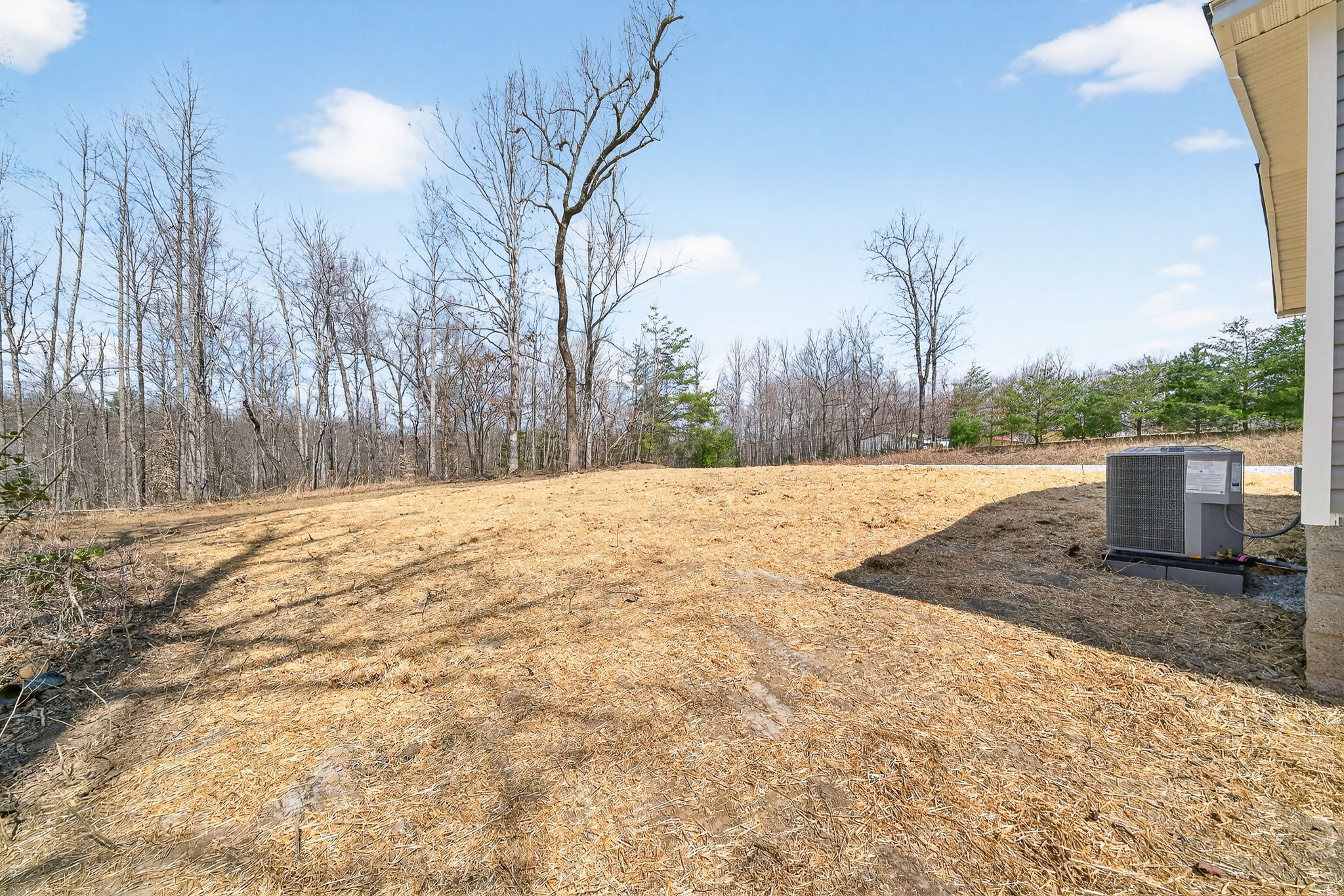428 Maple Branch Road Sparta, TN 38583 - Photo 6 of 28 a view of yard