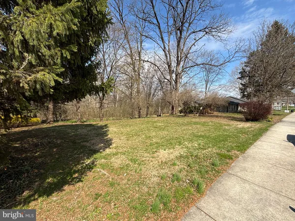 a view of yard with green space