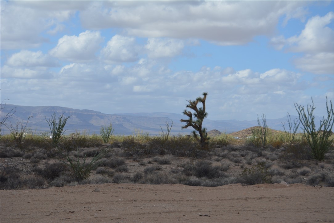 N2 Duquesne Road Yucca, AZ 86438 - Photo 12 of 49 View of mountain background