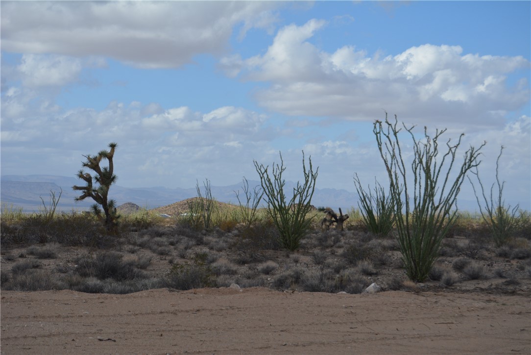 N2 Duquesne Road Yucca, AZ 86438 - Photo 13 of 49 View of undeveloped land featuring a mountainous background