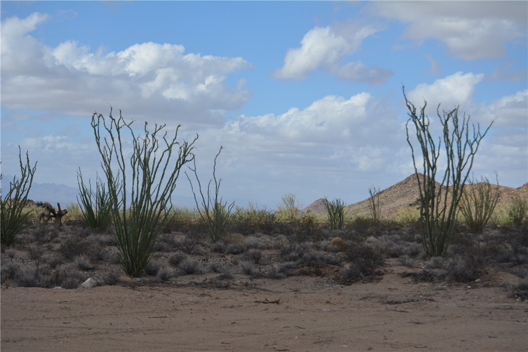 N2 Duquesne Road Yucca, AZ 86438 - Photo 14 of 49 View of undeveloped land with a mountain backdrop