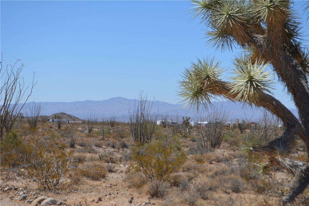 N2 Duquesne Road Yucca, AZ 86438 - Photo 16 of 49 View of mountain backdrop