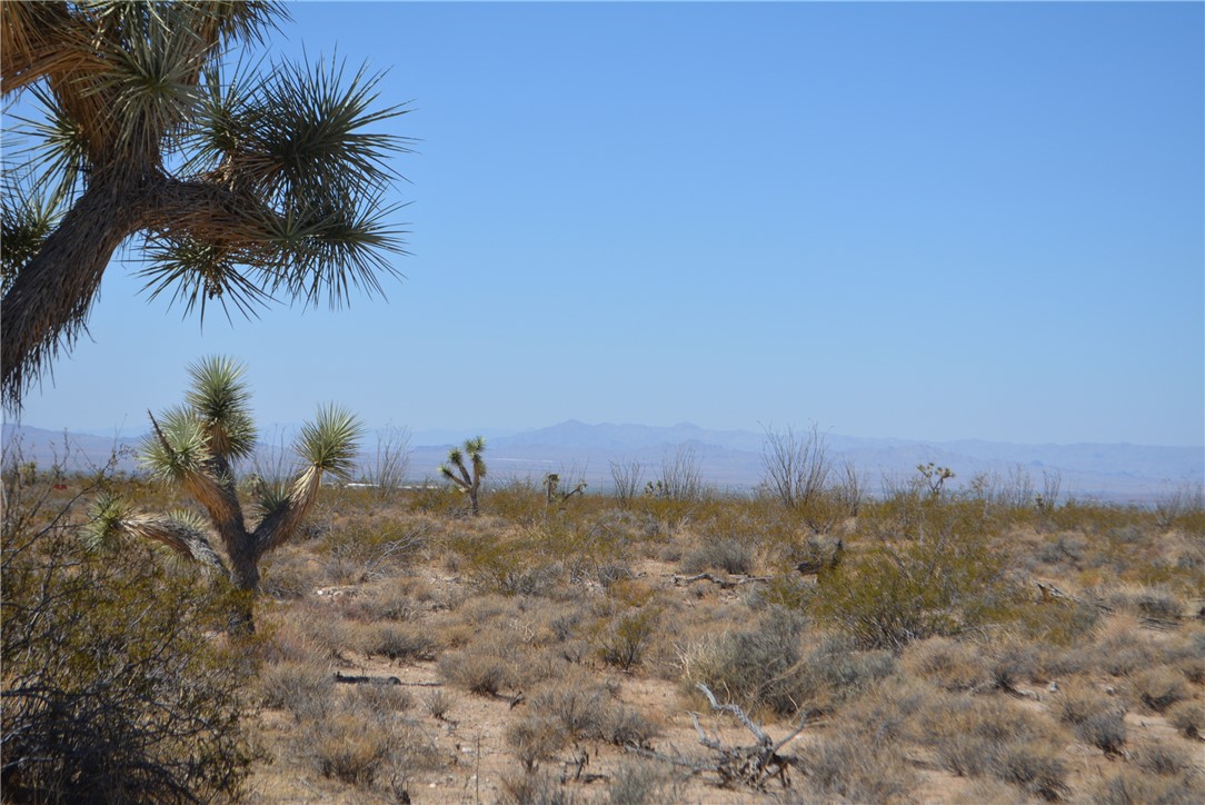 N2 Duquesne Road Yucca, AZ 86438 - Photo 18 of 49 View of mountain backdrop